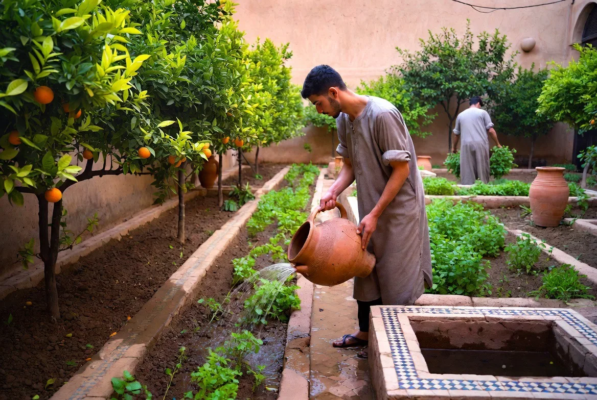 Il giardino nord e i condotti